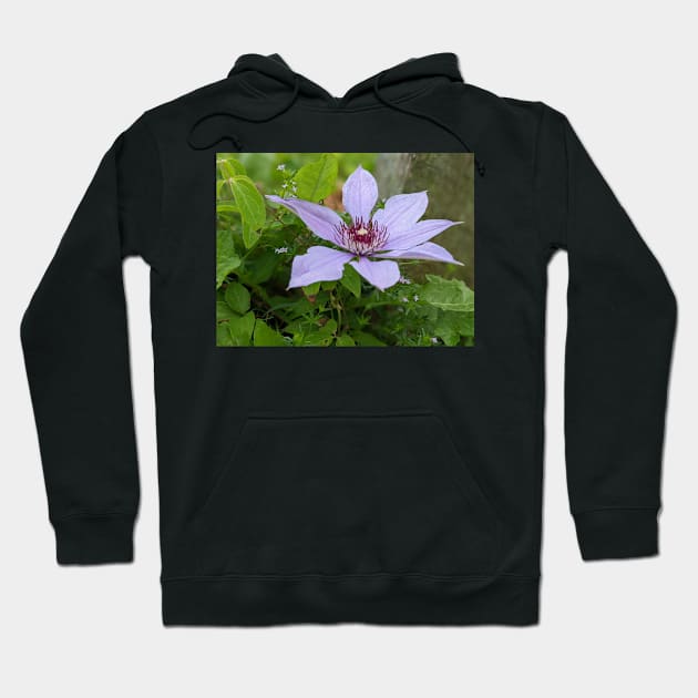 Lavender Flower 1 Hoodie by AustaArt